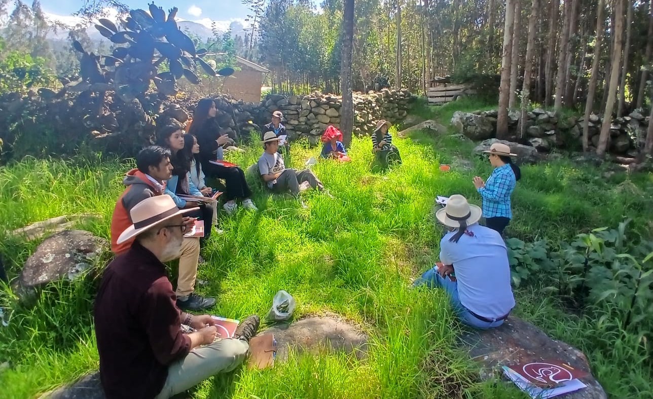 Participantes reconocen plantas medicinales durante una caminata botánica en el Callejón de Huaylas.