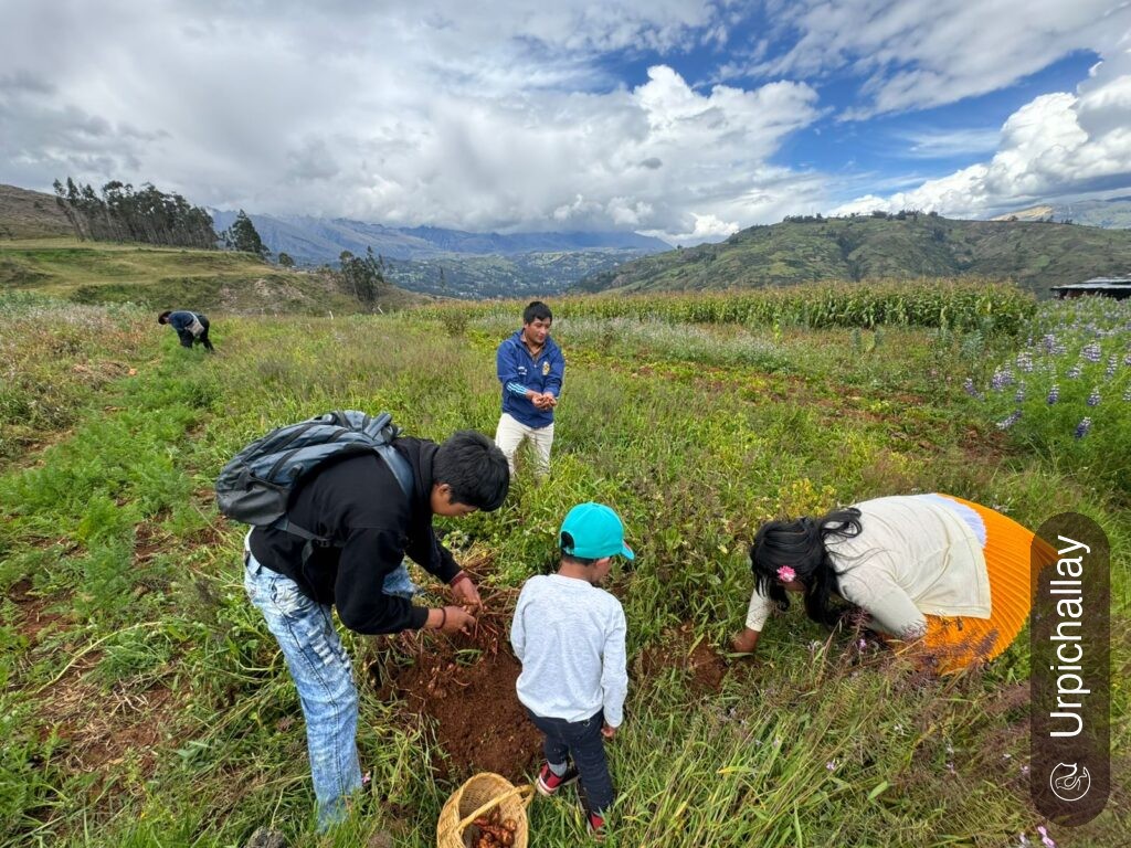Programa de Formación de Gestores Comunitarios